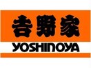 吉野家肥後橋店(ファストフード)まで291m ディーグラフォート大阪N.Y.タワーHIGOBASHI