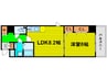 メゾン田中ー野田 1LDKの間取り