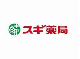 スギ薬局四ツ橋店(ドラッグストア)まで736m ドゥーエ立売堀