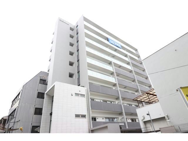  ハナミズキ福島