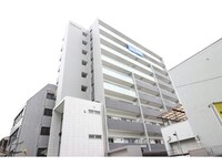 ハナミズキ福島