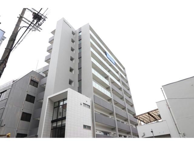  ハナミズキ福島