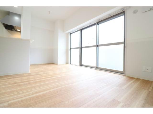  ハナミズキ福島