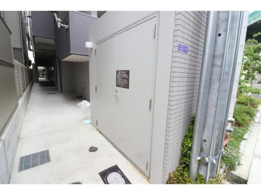  ハナミズキ福島