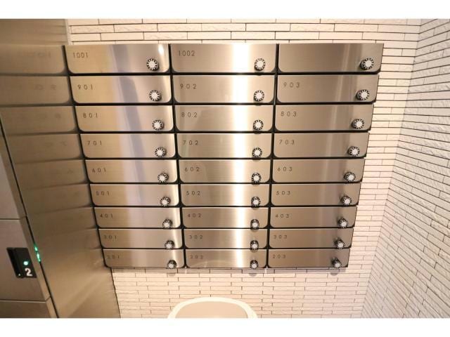  ハナミズキ福島