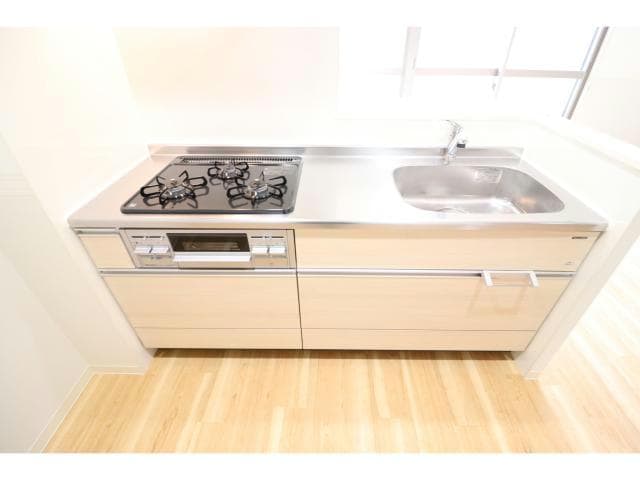  ハナミズキ福島