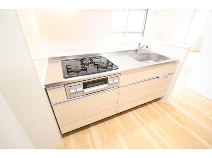  ハナミズキ福島