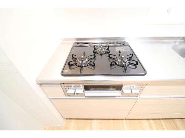  ハナミズキ福島