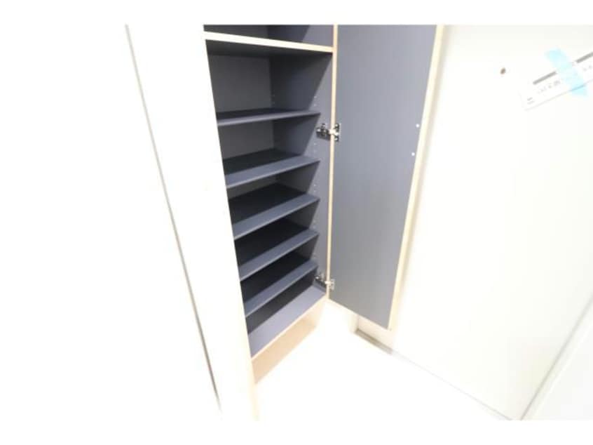  ハナミズキ福島