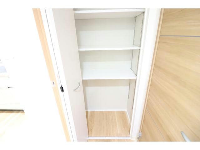  ハナミズキ福島