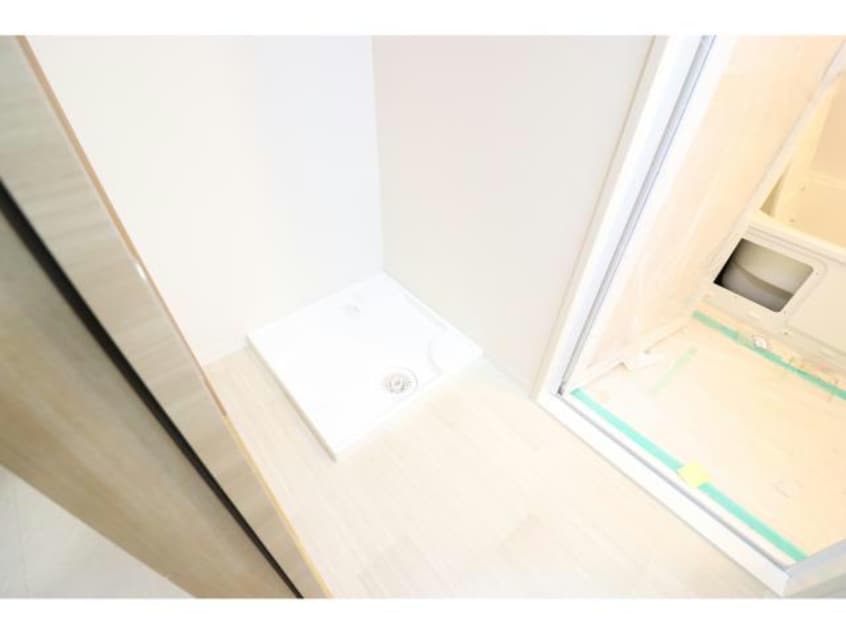  ハナミズキ福島