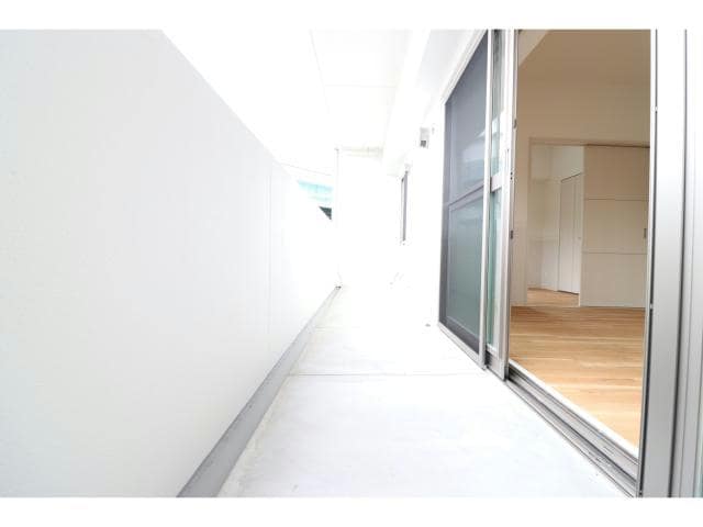  ハナミズキ福島