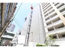  ショウエイ靭