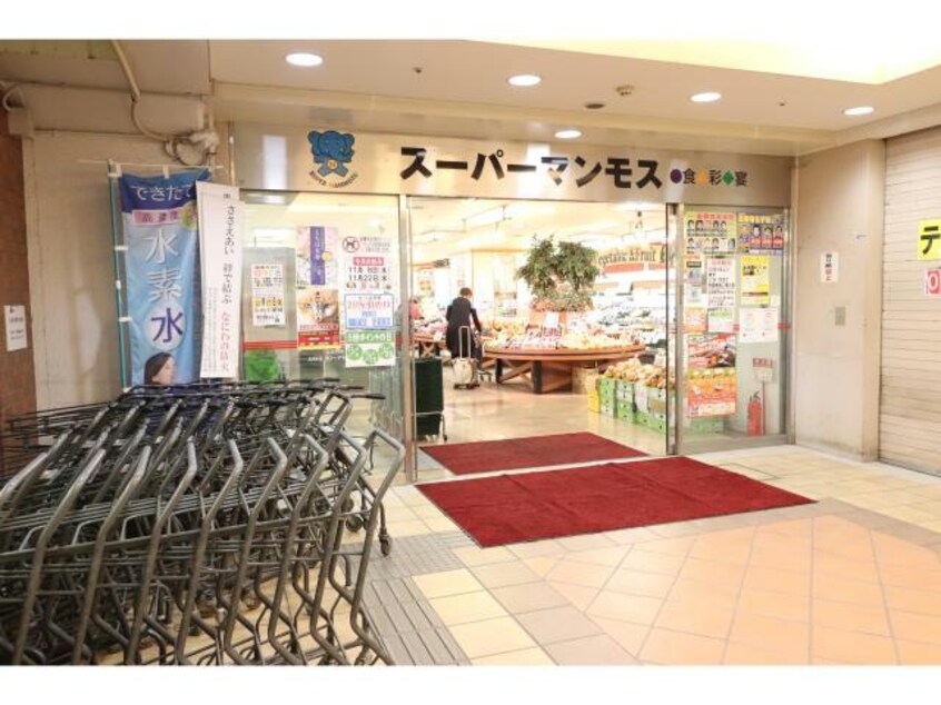 スーパーマンモス(スーパー)まで1201m エスリード大阪クレストコート