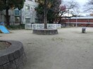 田川公園(公園)まで1639m EIJU Tsukamoto