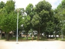 大和田南公園(公園)まで630m 千舟リバービューマンション