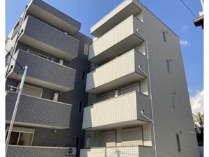 TRICERA　Court(トライセラコート)