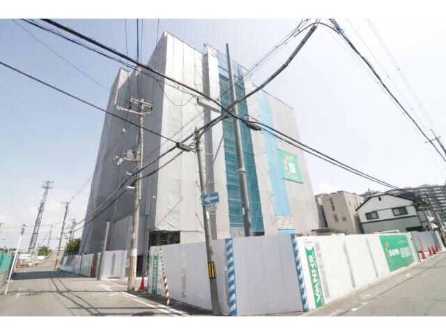  スプランディッドⅨ