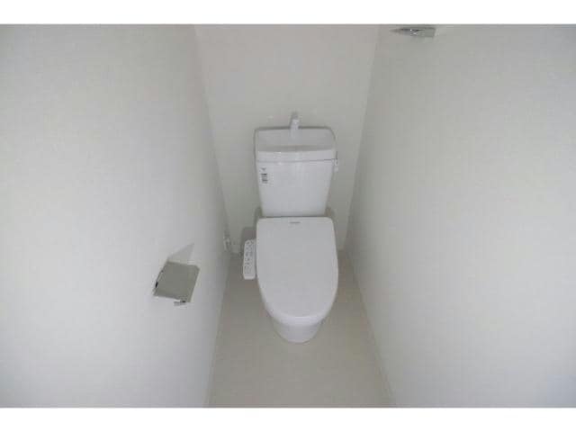  スプランディッドⅨ