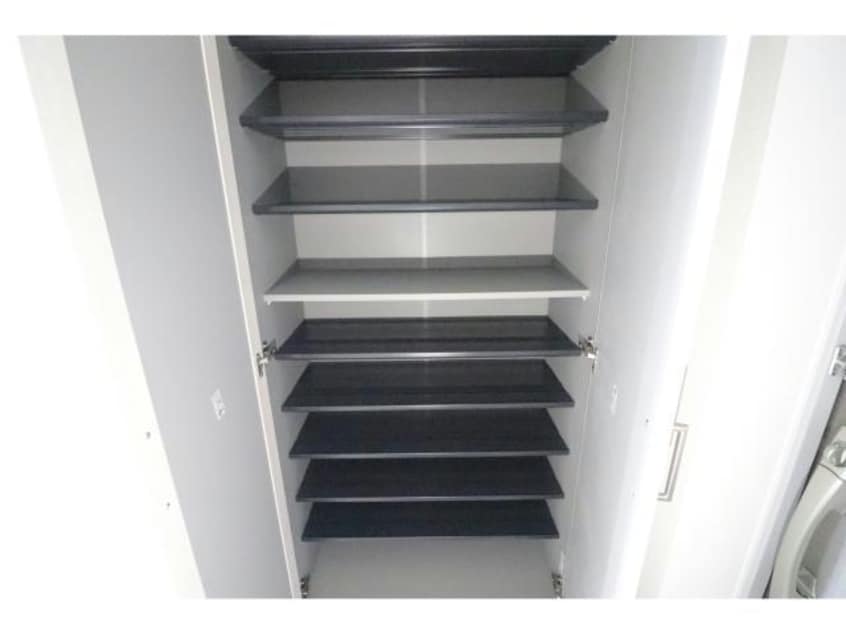  スプランディッドⅨ