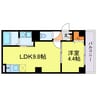 ソリティア都島 1LDKの間取り