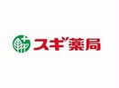 スギ薬局瓦屋町店(ドラッグストア)まで399m ブエナビスタ高津タワー