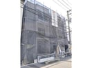 F asecia Rotanevの外観