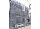 F asecia Rotanevの外観