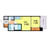 セレニテ南堀江エクラ 1DKの間取り