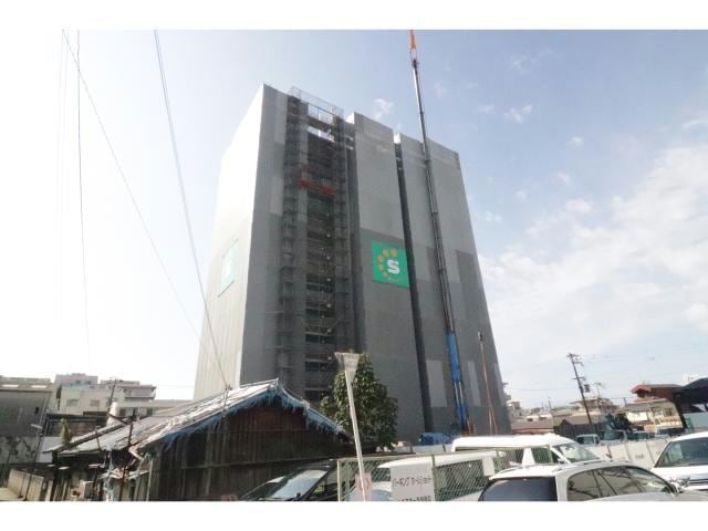  スプランディッドⅪ