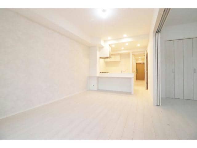  スプランディッドⅪ