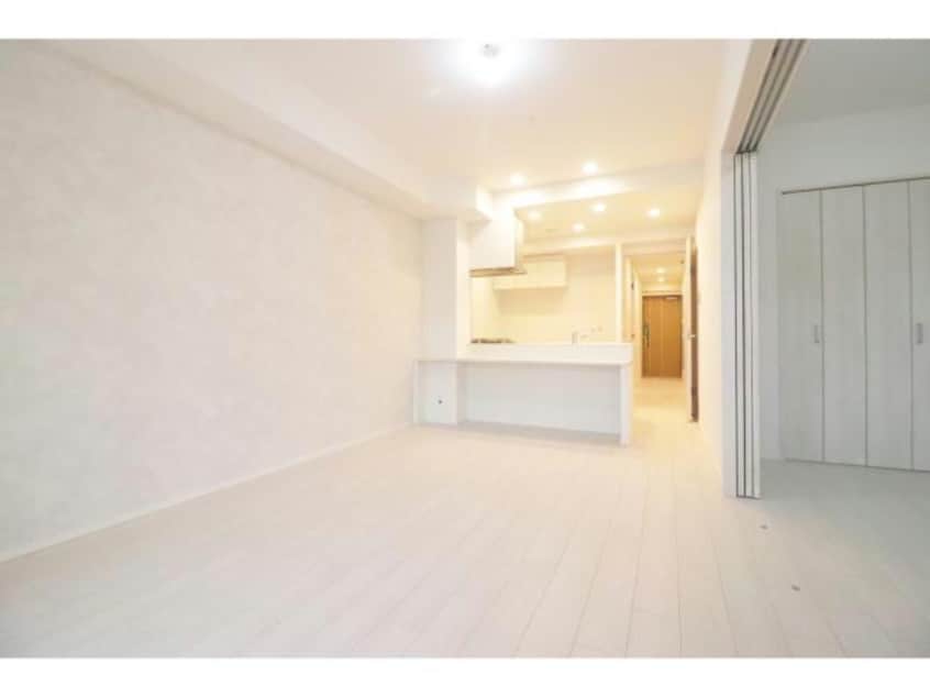  スプランディッドⅪ