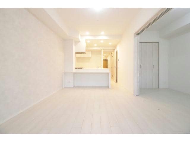  スプランディッドⅪ