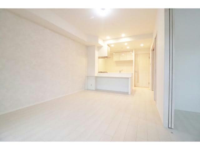  スプランディッドⅪ