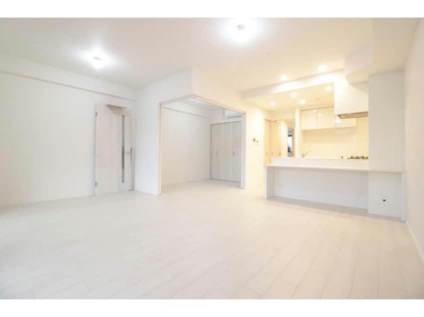  スプランディッドⅪ