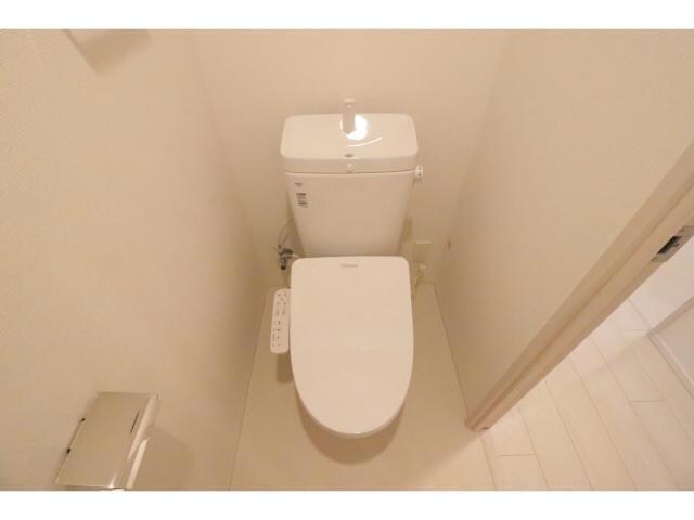  スプランディッドⅪ