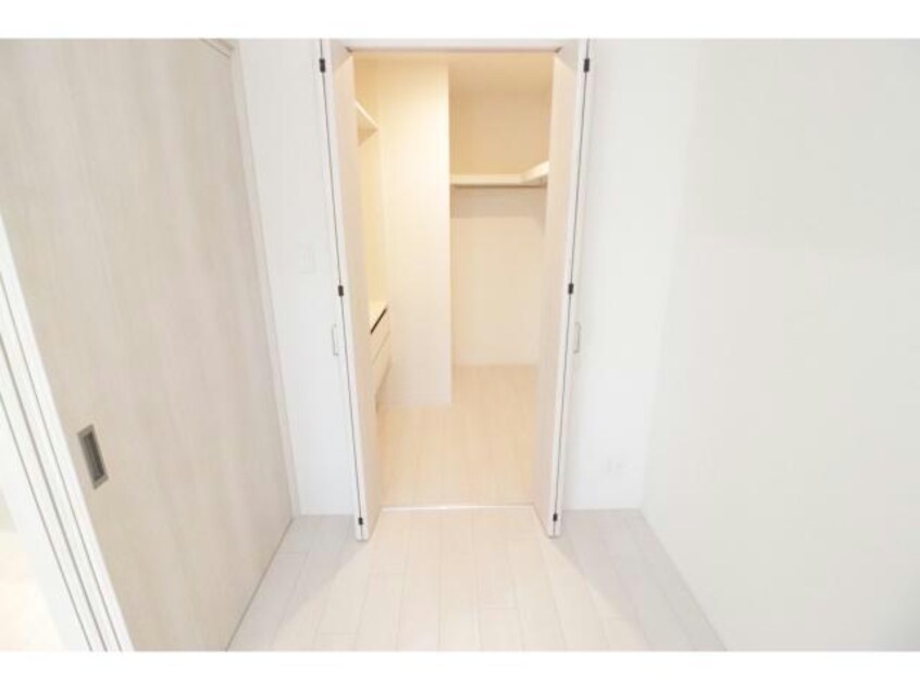  スプランディッドⅪ