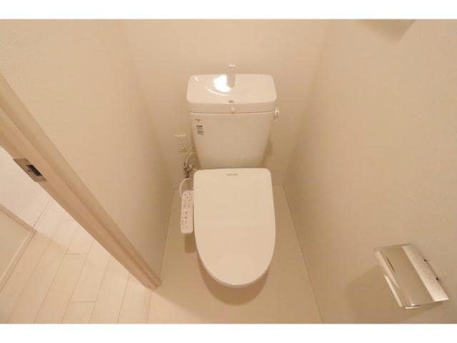  スプランディッドⅪ