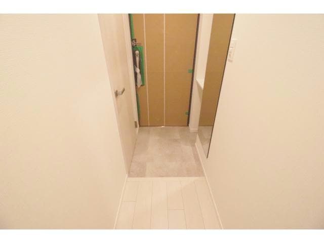  スプランディッドⅪ