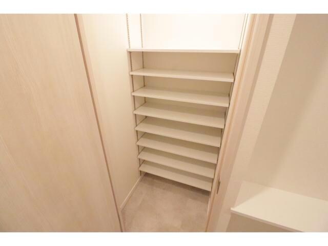  スプランディッドⅪ