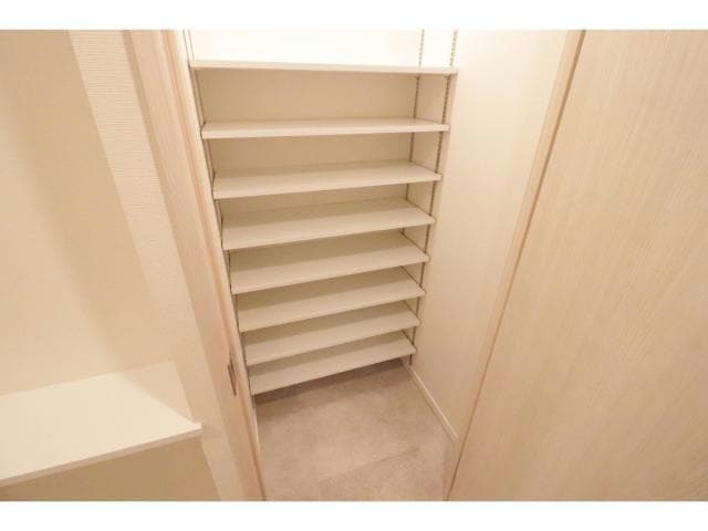  スプランディッドⅪ