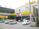ジャパン港波除店(ディスカウントショップ)まで811m ジーグランデ九条