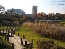 杁ケ池公園(公園)まで876m カームハウス日進