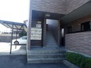  グレイス