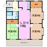 ネオ岩崎台 3LDKの間取り
