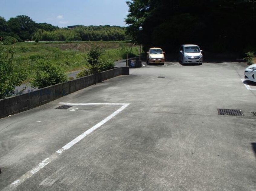  グリーン･マルツ