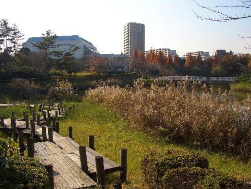 杁ケ池公園(公園)まで976m プラザコレージュ