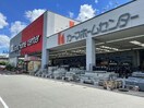 DCM三好インター店(電気量販店/ホームセンター)まで2652m エクセルハイツ黒笹