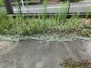 同建物別部屋 ヒルズ晃梅