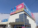 ホームセンターコーナン日進店(電気量販店/ホームセンター)まで194m ラフォーレ若竹